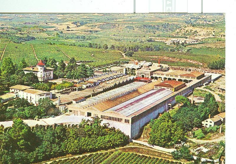 Postal 6308 : Cavas Codorniu, vista exterior