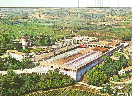 Postal 6308 : Cavas Codorniu, vista exterior