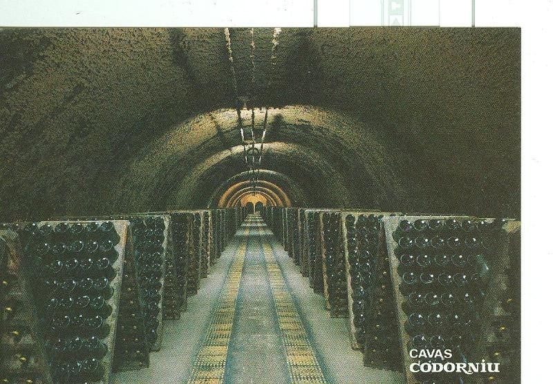 Postal 6313 : Cava Cordorniu, botellas en pupitre