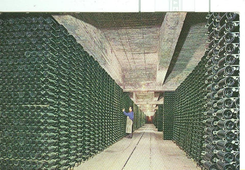 Postal 6316 : Cava Cordorniu, botellas envejeciendo