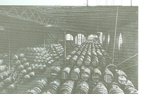 Postal 6325 : Casa Codorniu modelo numero 03