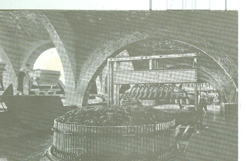 Postal 6326 : Casa Codorniu modelo numero 02