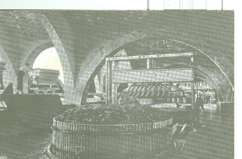 Postal 6326 : Casa Codorniu modelo numero 02