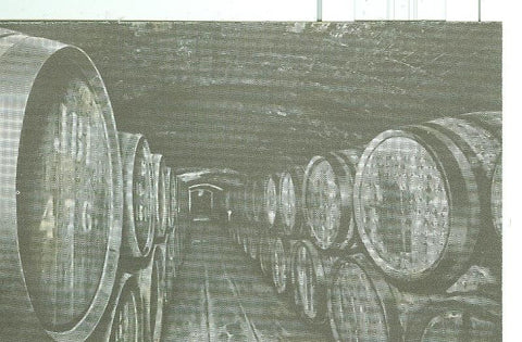 Postal 6329 : Casa Codorniu modelo numero 06