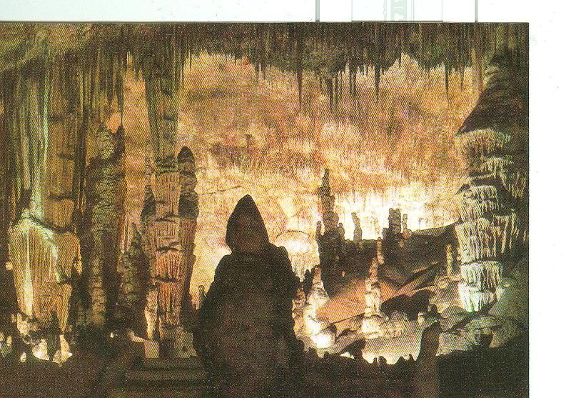 Postal 6335 : Cueva del Drach, Mallorca: Monje y Cactus