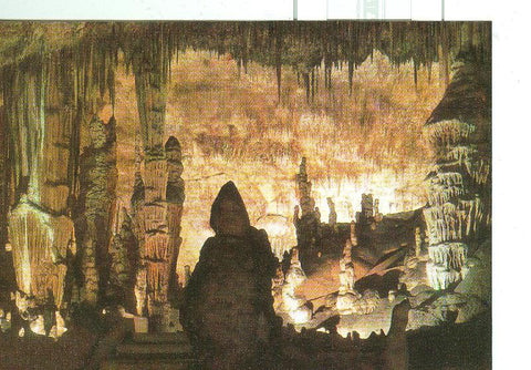 Postal 6335 : Cueva del Drach, Mallorca: Monje y Cactus
