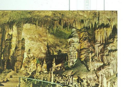 Postal 6345 : Cueva del Drach, Mallorca: Monjes y cactus