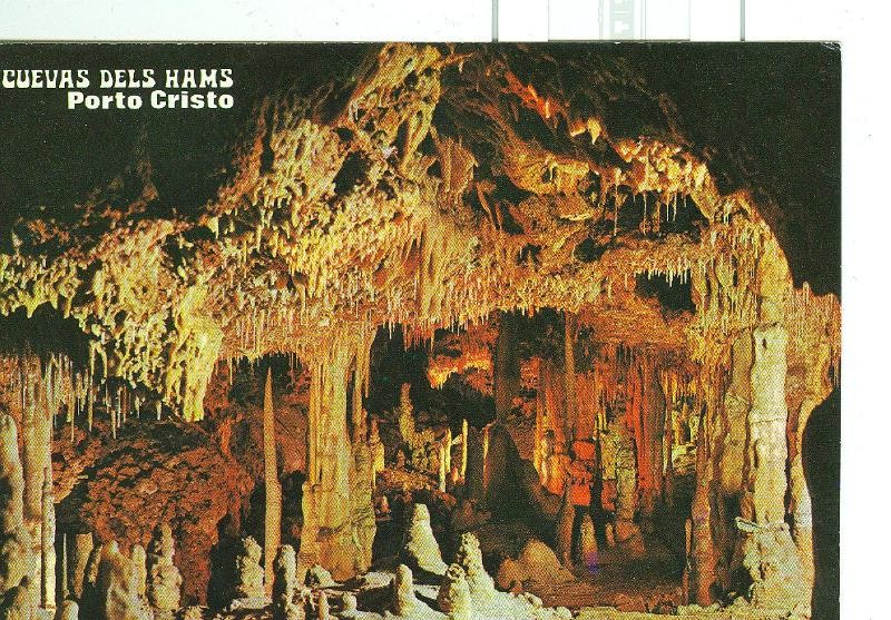 Postal 6352 : Cuevas dels Hams, Mallorca: Sala de las lechuzas