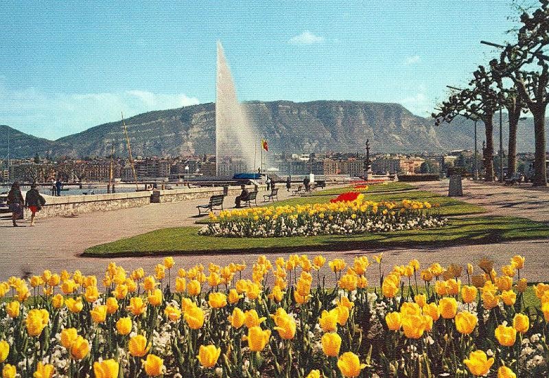 Postal 6380 : Geneve, Qual Wilson et le Jet d,Eau