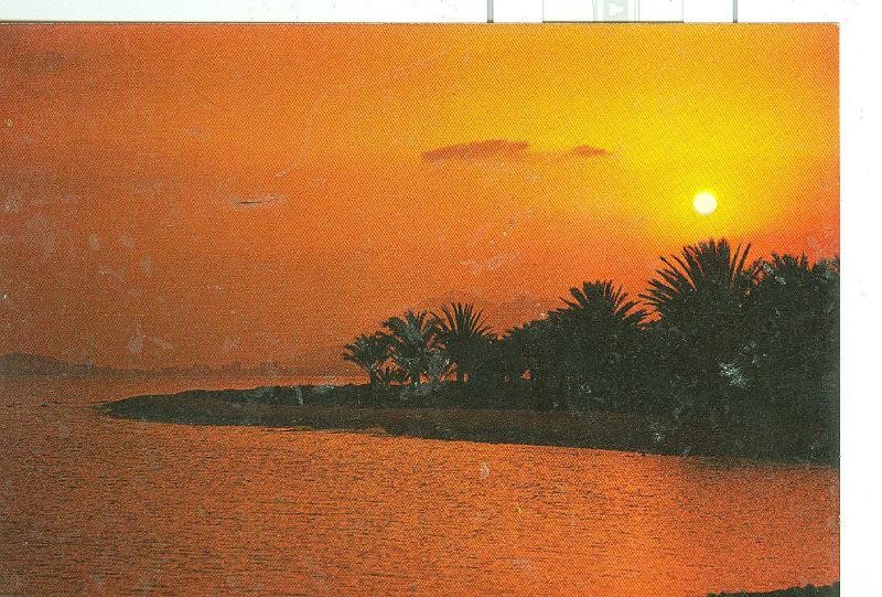 Postal 6411 : Paisaje y tipismo Español: Puesta de sol