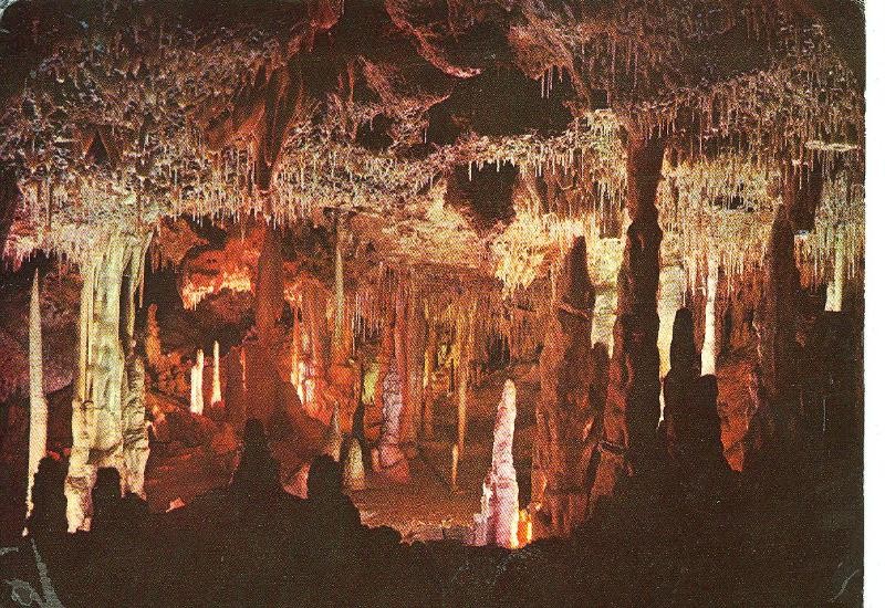 Postal 6445 : Mallorca, Porto Cristo: Cuevas