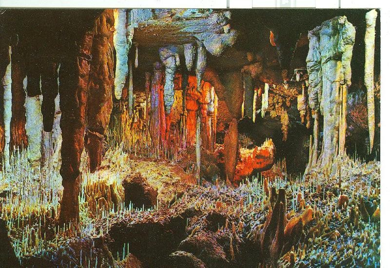 Postal 6446 : Mallorca, Porto Cristo: Cuevas dels Hams