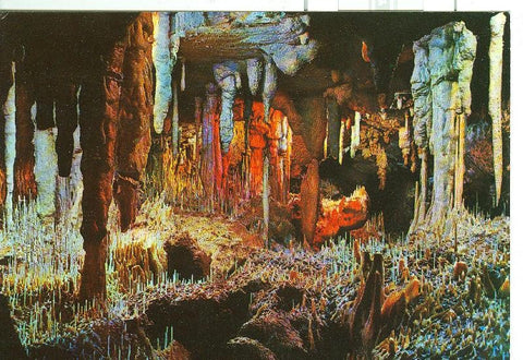 Postal 6446 : Mallorca, Porto Cristo: Cuevas dels Hams