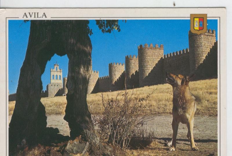 Postal 7317 : Murallas de Avila