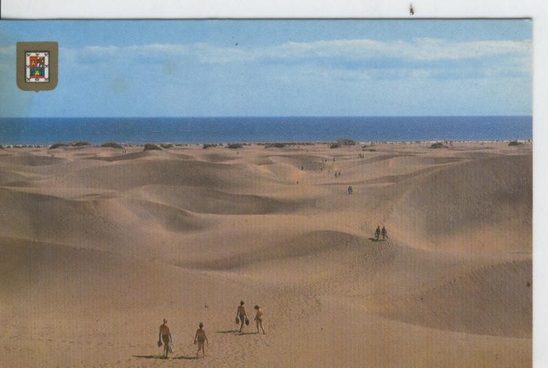 Postal 7368 : Playa de Maspalomas, Gran Canaria