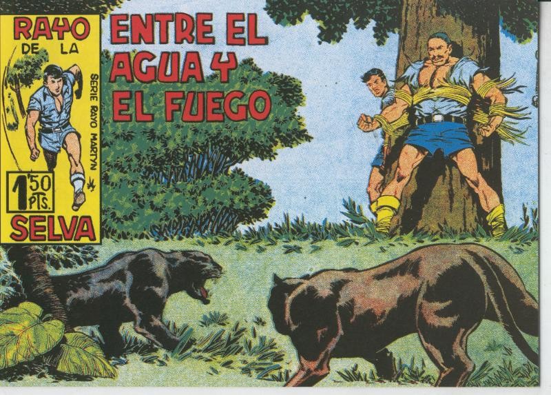 Rayo de la Selva facsimil numero 15