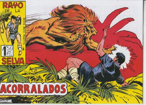 Rayo de la Selva facsimil numero 49