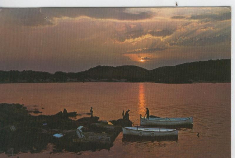 Postal 7384 : Puesta de sol en Es Grao de Menorca