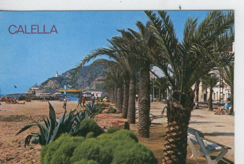 Postal 7473 : Paseode las palmeras de Calella, Barcelona