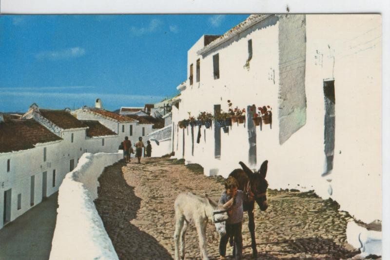 Postal 07629 : Calle tipica de Mijas, malaga