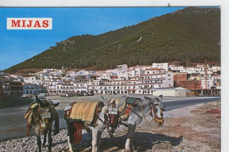 Postal 07631 : Vista tipica de Mijas, malaga