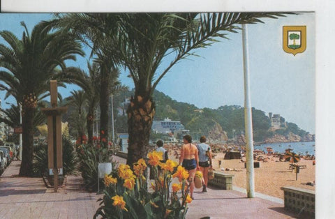Postal 07682 : Lloret de Mar , Paseo de las Palmeras