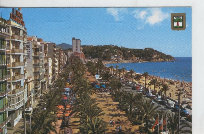 Postal 08005 : Lloret de Mar: paseo y palmeras