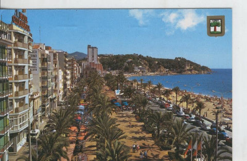 Postal 08005 : Lloret de Mar: paseo y palmeras