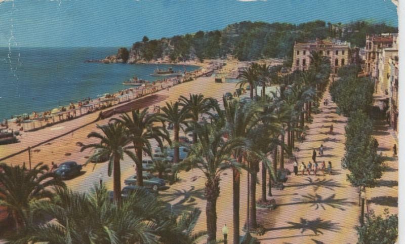 Postal 08019 : Lloret de Mar: vista general