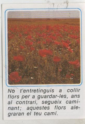 Cromos: Missatges D´alegria numerado 10