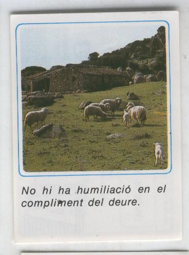 Cromos: Missatges D´alegria numerado 14