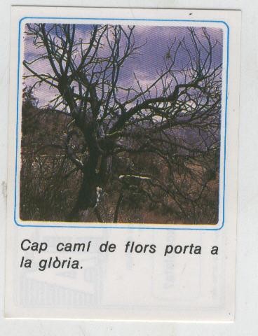 Cromos: Missatges D´alegria numerado 30