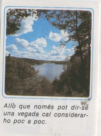 Cromos: Missatges D´alegria numerado 33