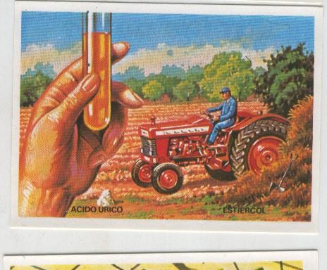 Cromos: Sabias que....? numero 08