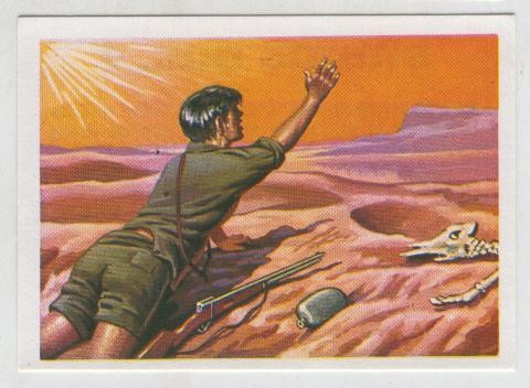 Cromos: Sabias que....? numero 22