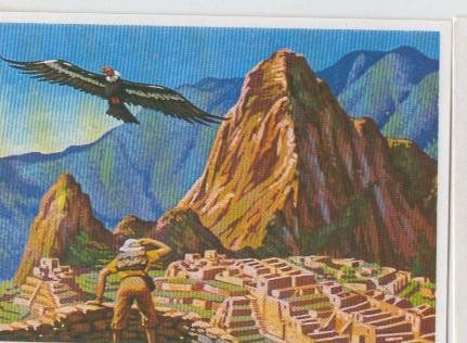 Cromos: Sabias que....? numero 28