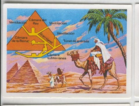 Cromos: Sabias que....? numero 31