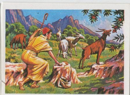 Cromos: Sabias que....? numero 41