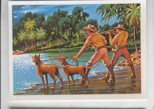 Cromos: Sabias que....? numero 43