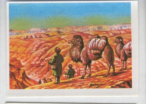 Cromos: Sabias que....? numero 44