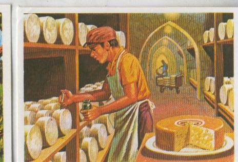 Cromos: Sabias que....? numero 53