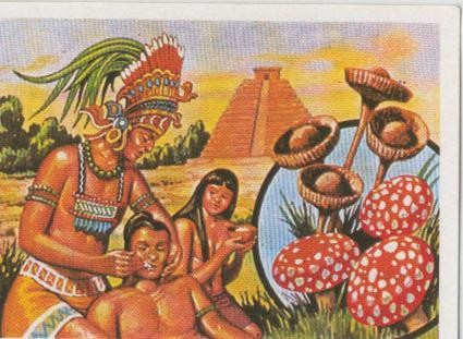 Cromos: Sabias que....? numero 56