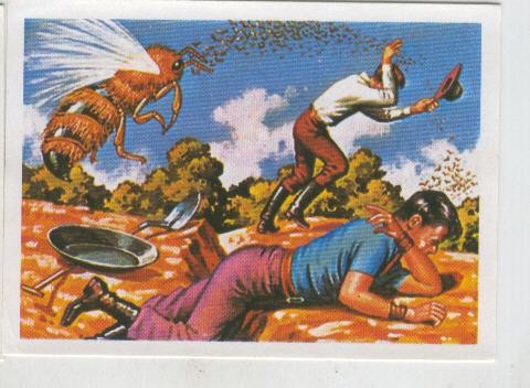 Cromos: Sabias que....? numero 66
