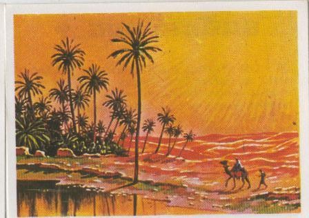 Cromos: Sabias que....? numero 68