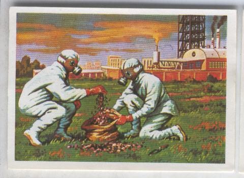 Cromos: Sabias que....? numero 71