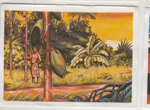 Cromos: Sabias que....? numero 77