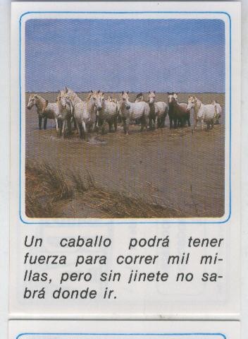 Cromos: Mensajes de Alegria numerado 03