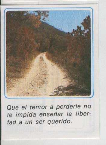 Cromos: Mensajes de Alegria numerado 07