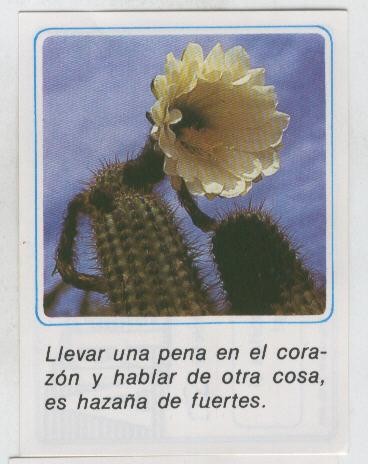Cromos: Mensajes de Alegria numerado 17