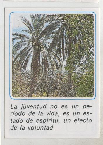 Cromos: Mensajes de Alegria numerado 21